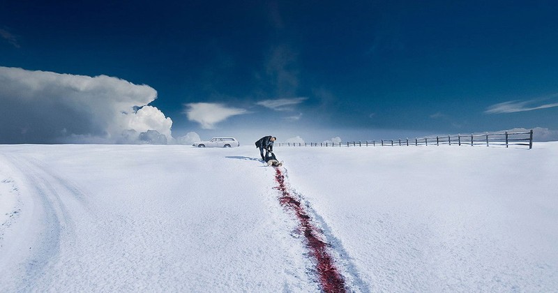 冰血暴电影封面图片