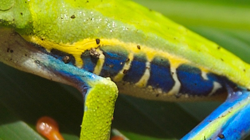 Free Earth Documentary 封面图