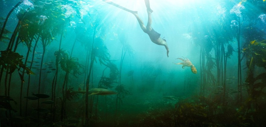 我的章鱼老师纪录片封面图片