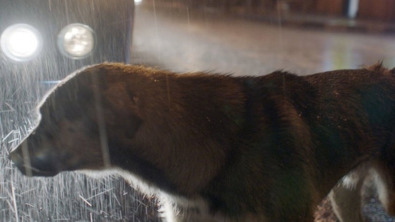 太空犬电影场景截图