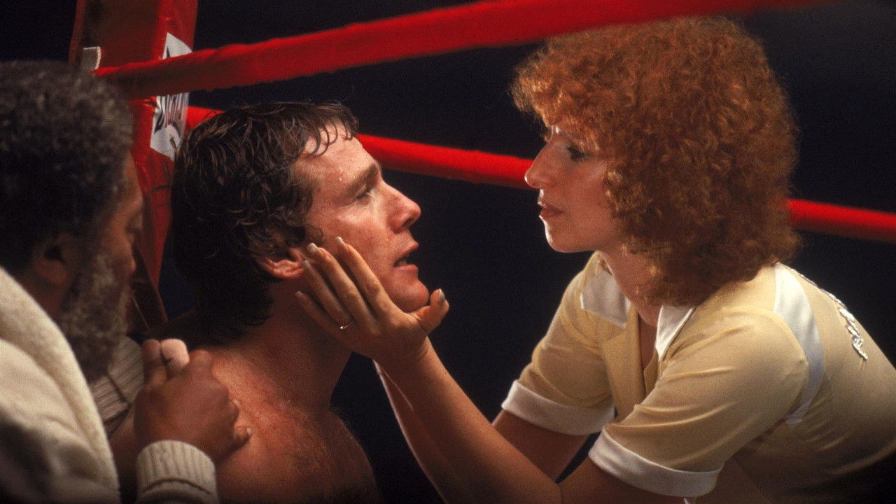 情人节电影封面图片